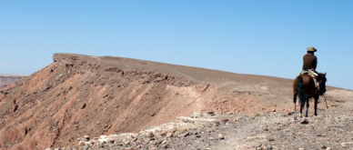 Infocus - Latin America's slow and uneven economic recovery